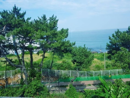 후기 이미지 2