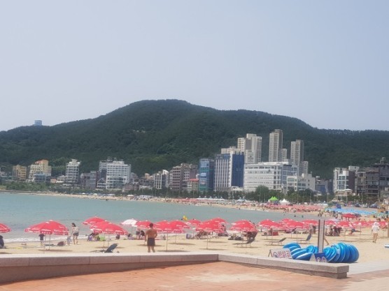 후기 이미지 3