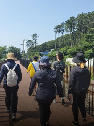 정화나무 프로그램 대표이미지