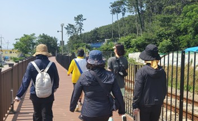 정화나무 주요 프로그램 소개 이미지